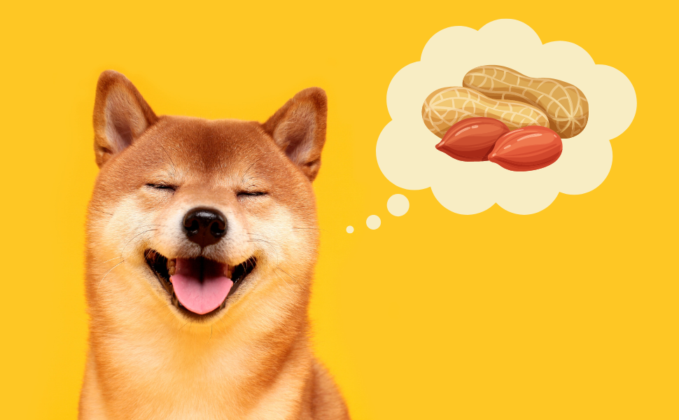 Are peanuts safe for dogs to eat hotsell
