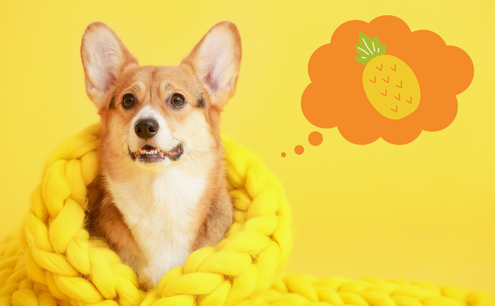 Pineapple and Dogs Unveiling the Secrets Behind This Tropical Treat
