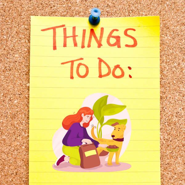 September Dog Care Checklist: What to Do Before October Rolls In