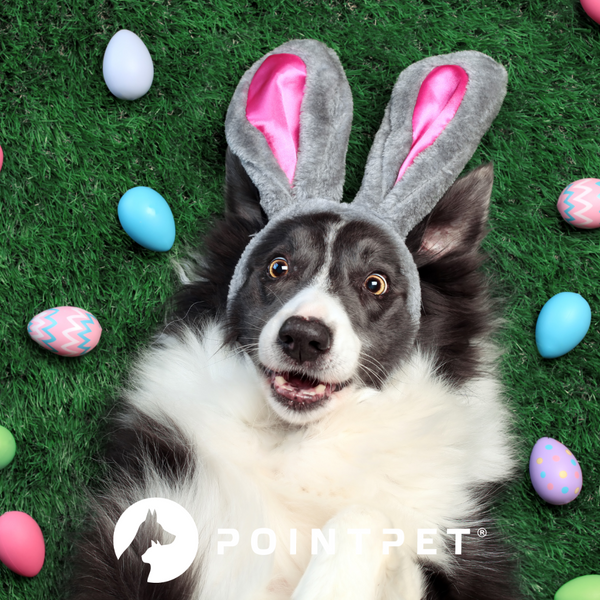 Easter Safety Tips for Dog Owners