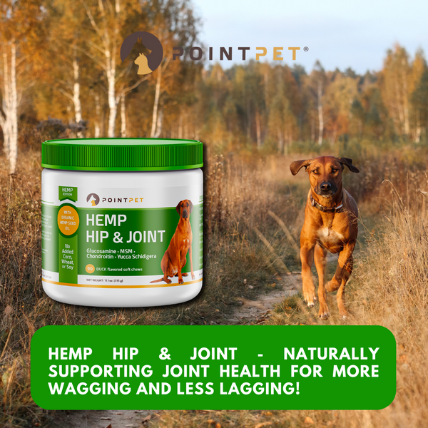 The Power of Hemp Hip & Joint