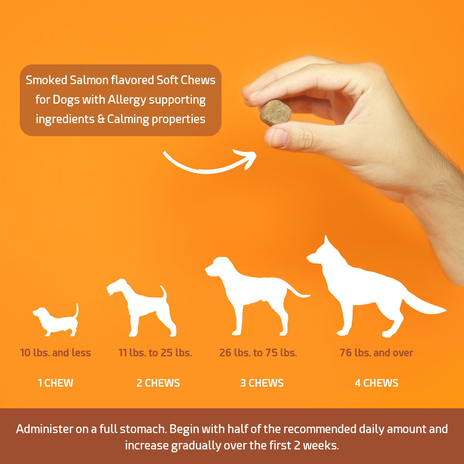Salmon allergy in sales dogs